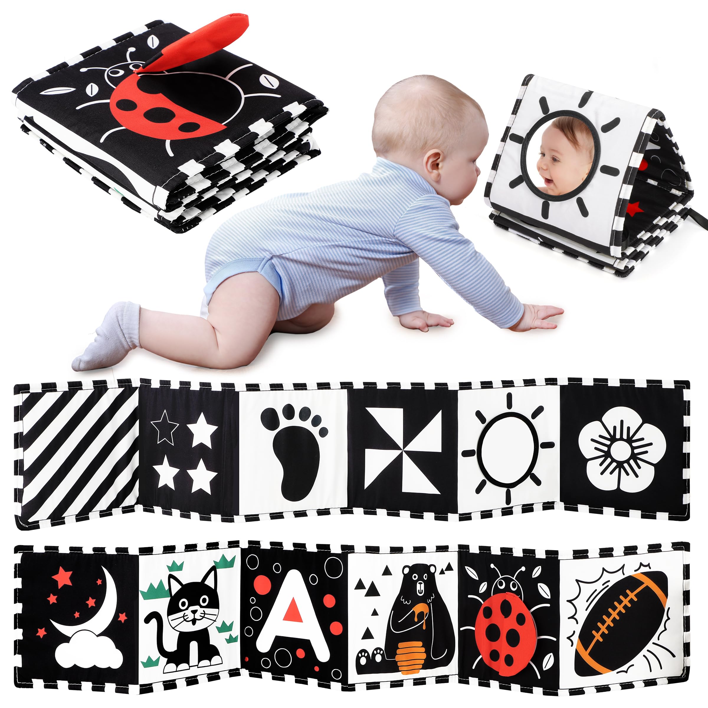 Black and White Brain Development Book